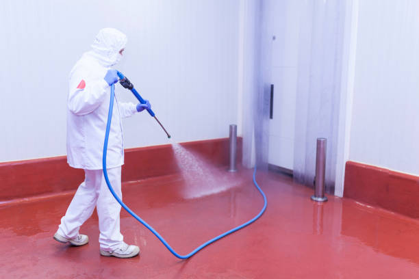 Best Concrete Sealing  in Newberry, MI