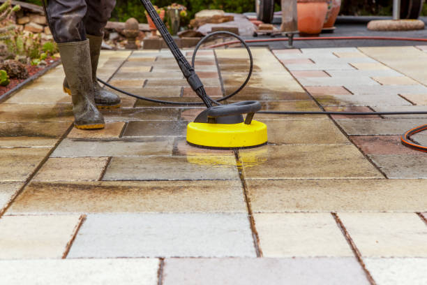 Animal Enclosure Cleaning in Newberry, MI