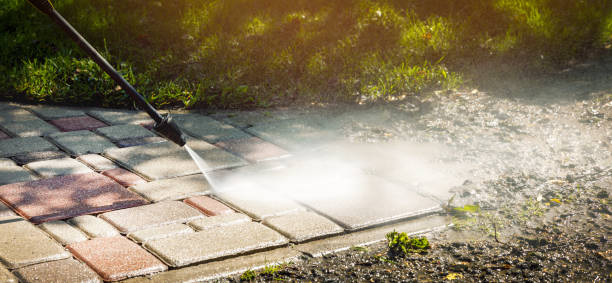 Best House Exterior Washing  in Newberry, MI