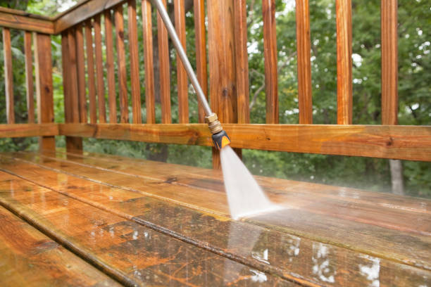 Best Building Exterior Washing  in Newberry, MI