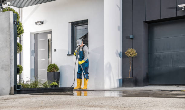 Best Gutter Cleaning  in Newberry, MI